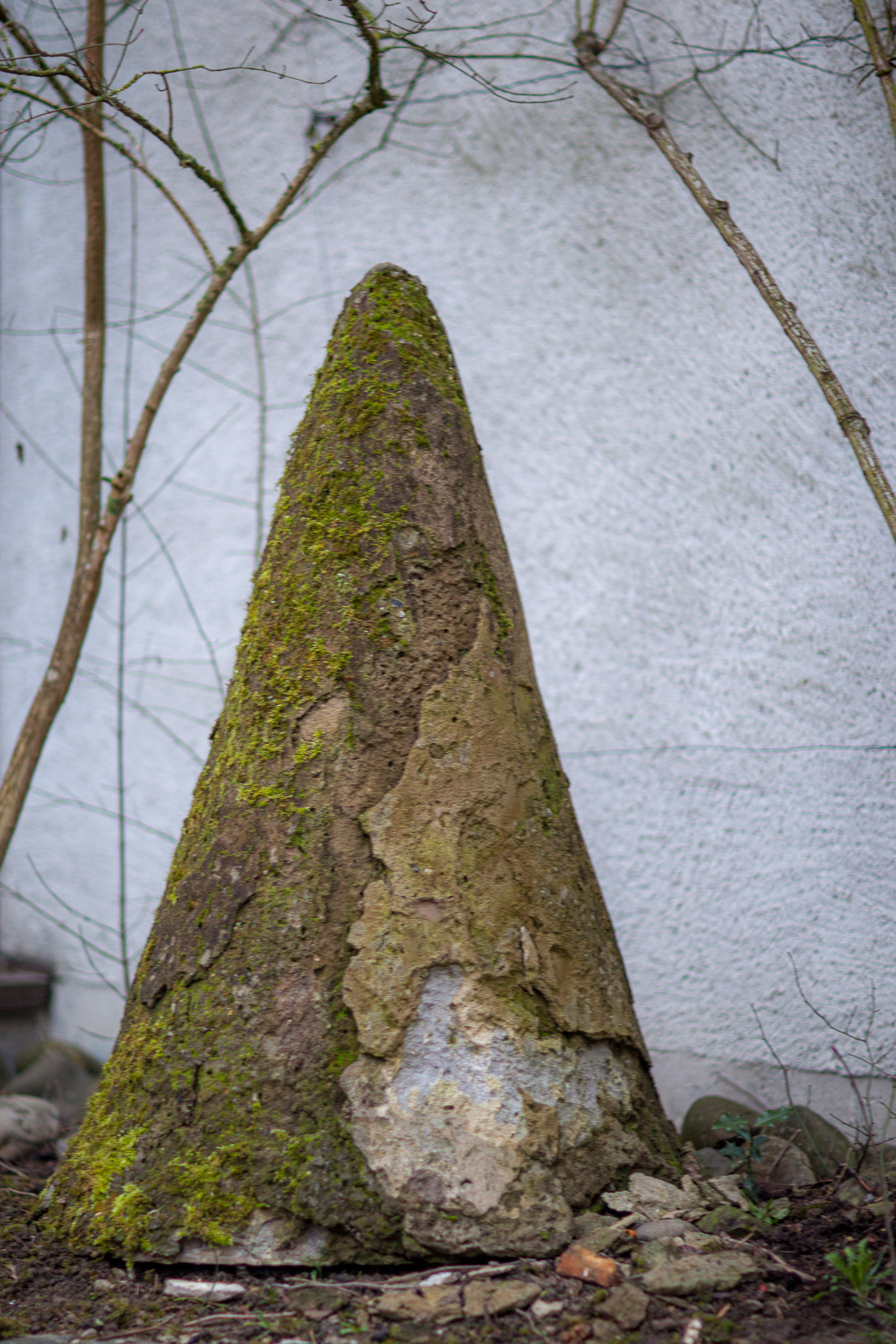 20120225073802 IMG 3356